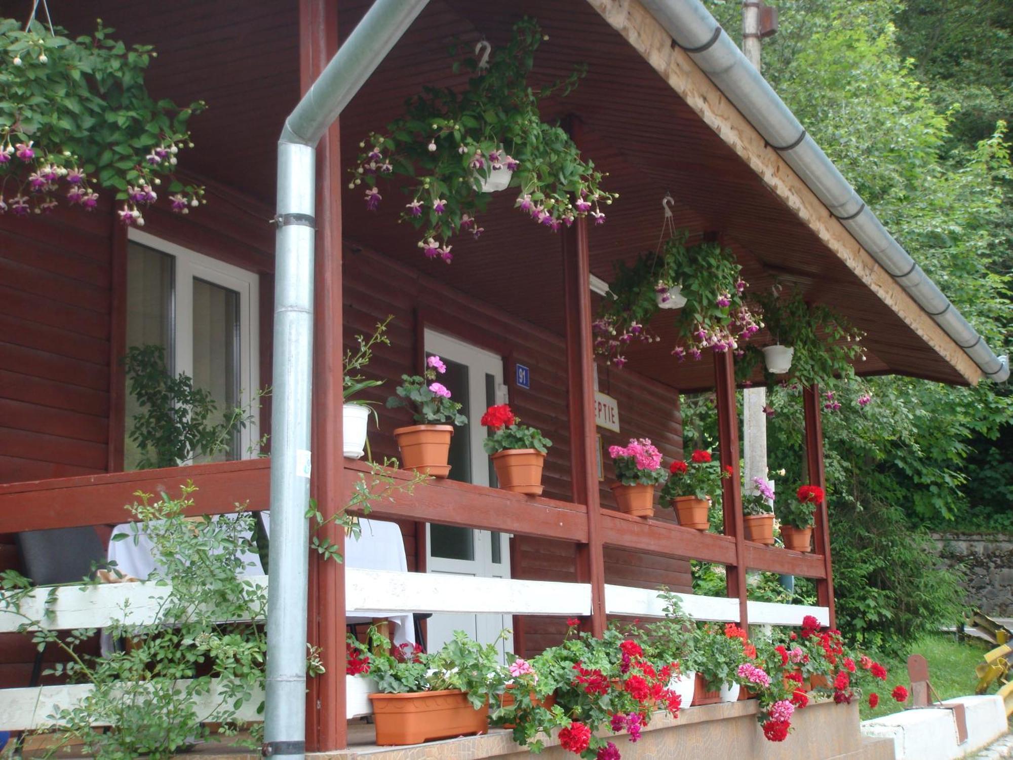 Motel Cristina Békás Kültér fotó